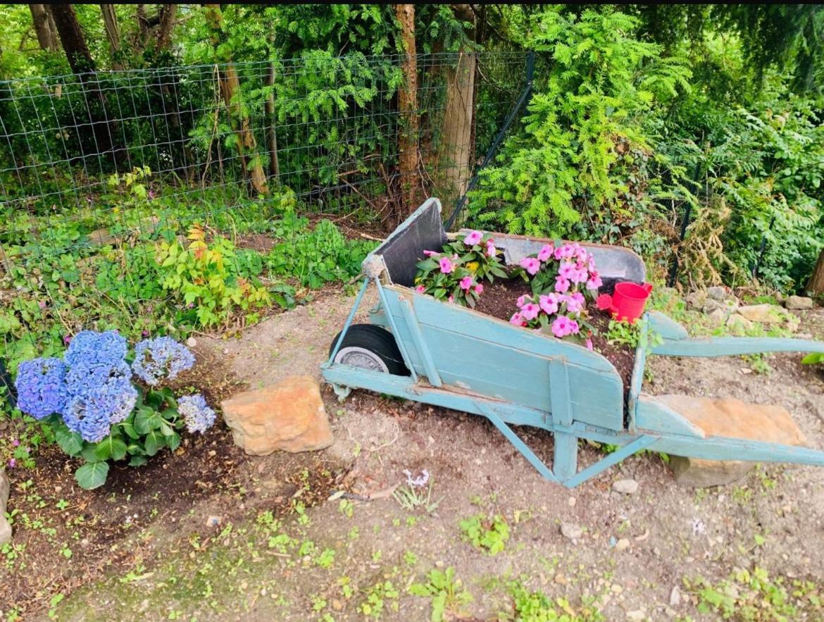 Les Volets Bleus Villa Parmain ภายนอก รูปภาพ